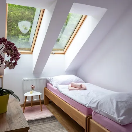 Pink Mandala By Interhome