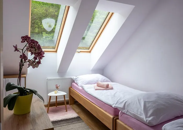 Pink Mandala By Interhome